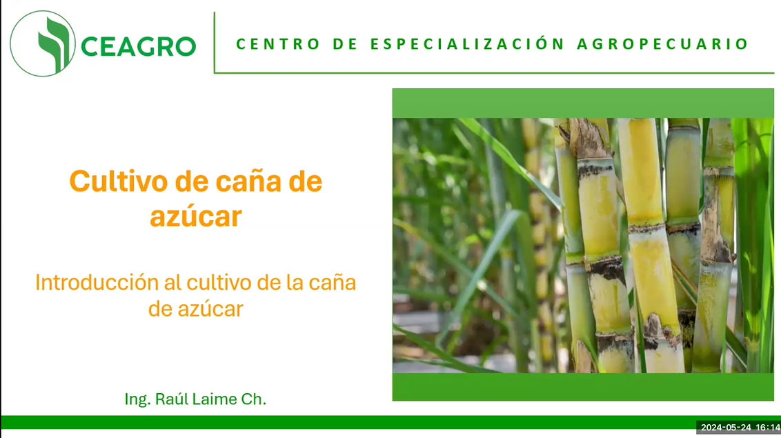 Introducción al Cultivo de la Caña de Azúcar